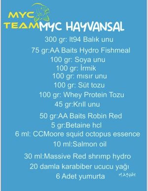 HAYVANSAL BOİLİ TARİFİ