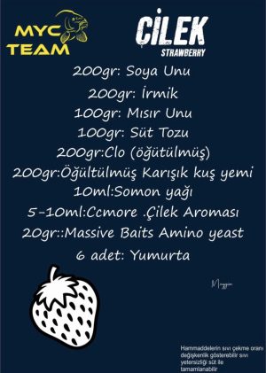 ÇİLEK BOİLİ TARİFİ