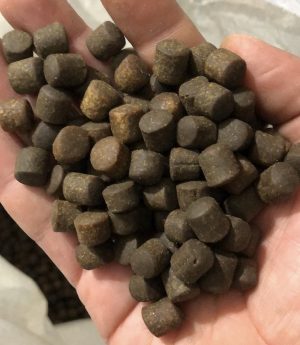 Alabalık Peleti 10 mm 1 kg